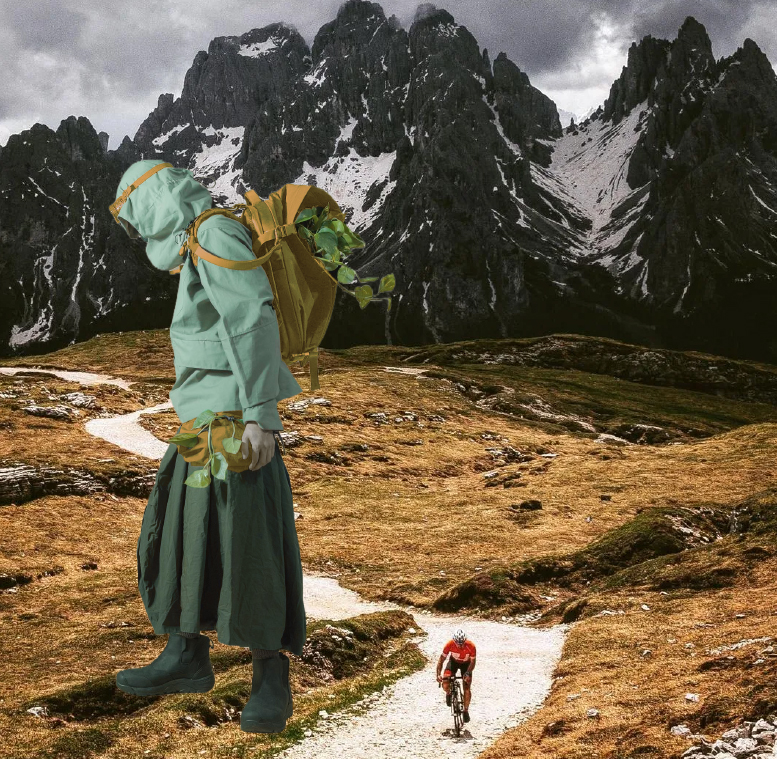 Suzhou Redcolor International Trading Co., Ltd.