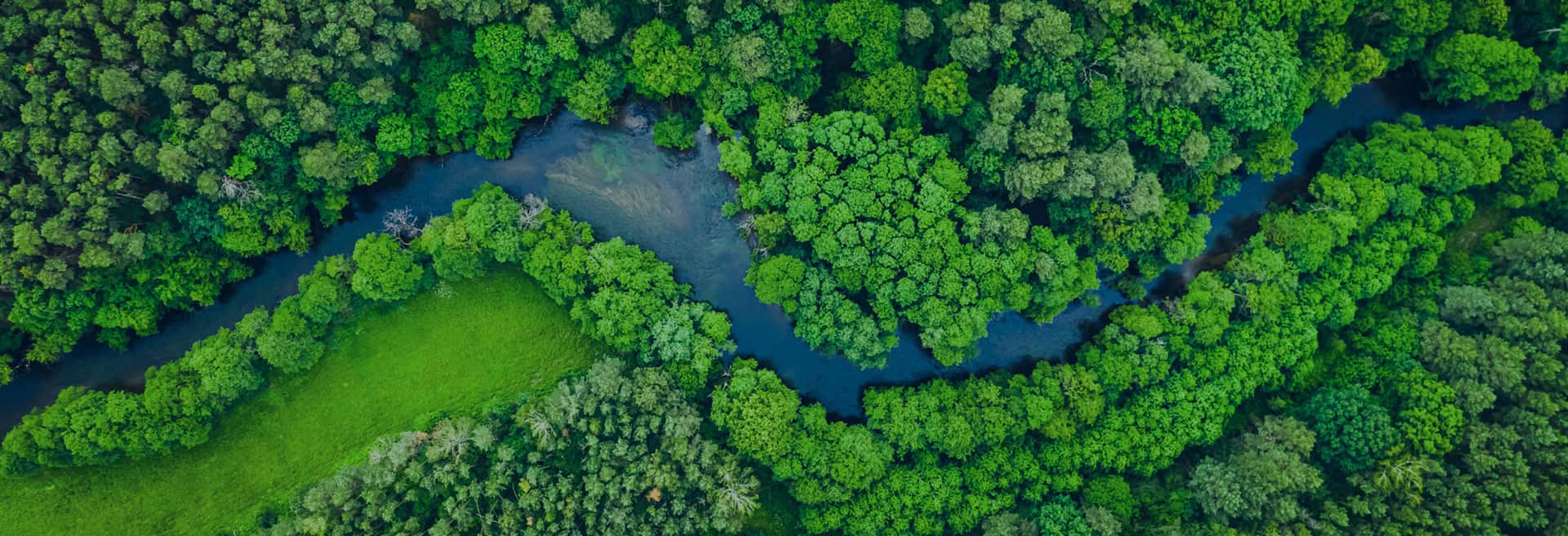 Suzhou Redcolor International Trading Co., Ltd.