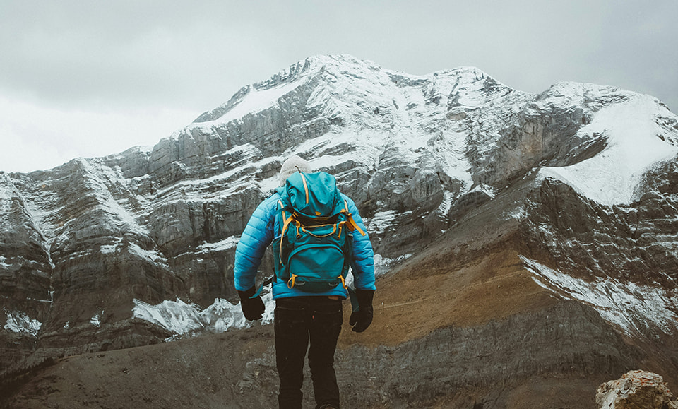 Suzhou Redcolor International Trading Co., Ltd.