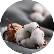 Suzhou Redcolor International Trading Co., Ltd.