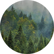 Suzhou Redcolor International Trading Co., Ltd.