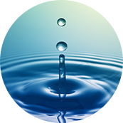 Suzhou Redcolor International Trading Co., Ltd.