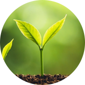 Suzhou Redcolor International Trading Co., Ltd.